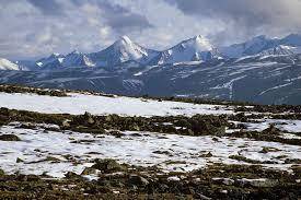 What is the area like in northern asia?  tundra rain forest forested desert