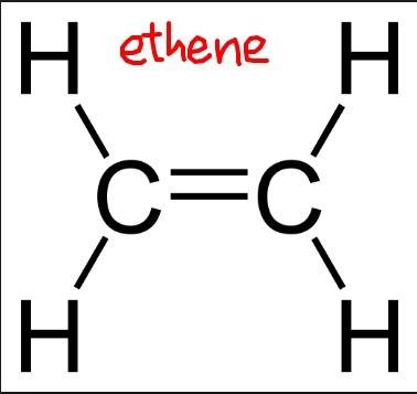 An element is a main constituent of paper, diamond and clothes etc. it forms covalent bonds with its