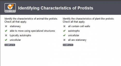 Identify the characteristics of animal-like protists. check all that apply. a. stationary b. able to