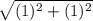 \sqrt{(1 )^{2}+(1) ^{2}  }