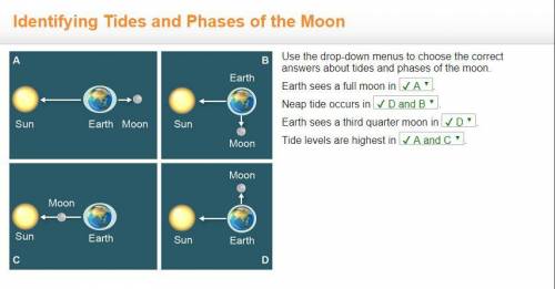 Use the drop-down menus to choose the correct answers about tides and phases of the moon. earth sees