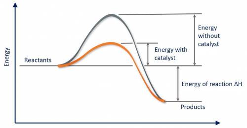 Which of the following statements about catalysts is false?  a catalyst provides a different reactio