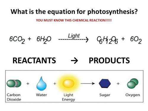 What do you call everything to the right of the arrow in a chemical reaction?