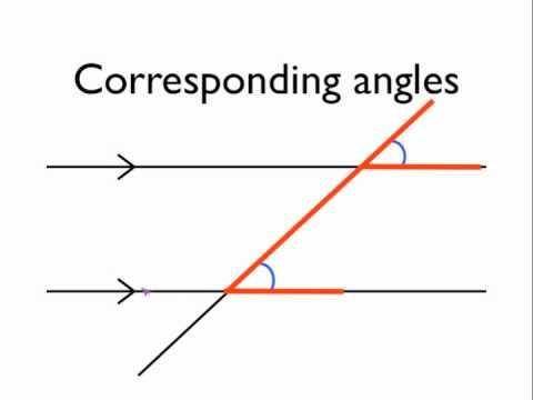 The figure below shows parallel lines cut by a transversal:   a pair of parallel lines is shown, cut