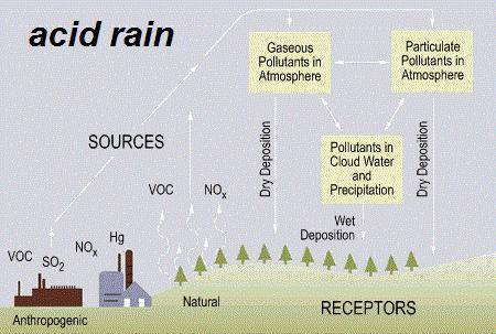 The acidity of normal rain water is due to  a) so2 b) co2 c) no2 d) no