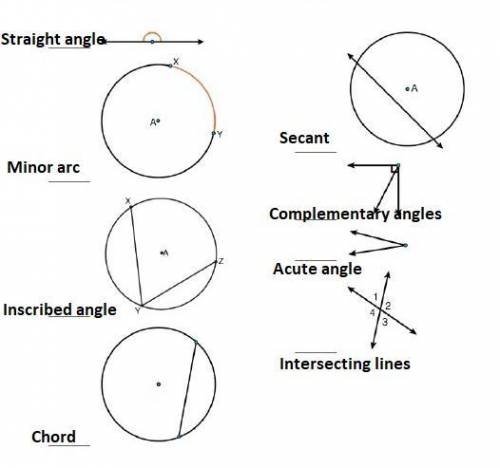 Match each picture with its correct label. complementary angles acute angle straight angle intersect