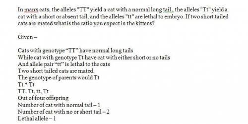 In manx cats, the allele “tt” yield a cat with a normal long tail, the alleles “tt” yield a cat with
