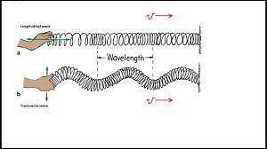 What is the main difference between a longitudinal wave and a transverse wave?  a longitudinal wave