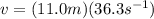 v = (11.0 m)(36.3 s^{-1})
