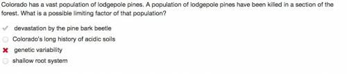 Colorado has a vast population of lodgepole pines. a population of lodgepole pines have been killed