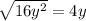 \sqrt{16y^2} =4y