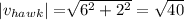 |v_{hawk}|=\sqrt[]{6^2+2^2}=\sqrt{40}