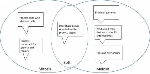 Keeping mitosis and meiosis separate in your mind can be a bit tricky. read the following speech bub