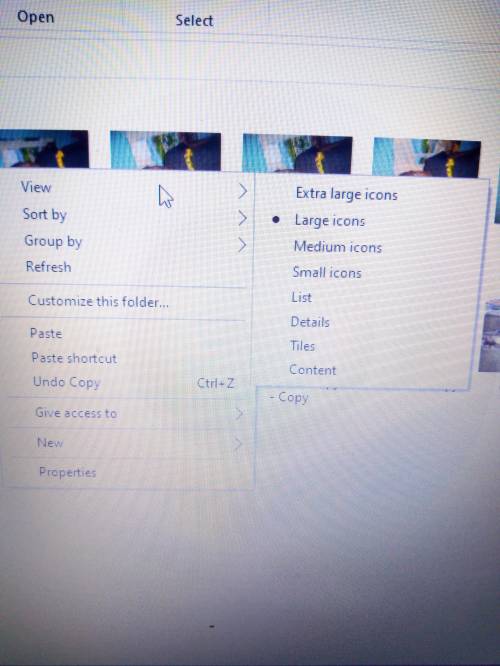 Meg wants to preview all images in a folder so that she can quickly find the image she wants. which