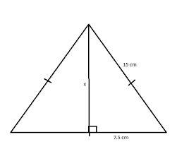 How to find the height of an equilateral triangle with side lengths of 20?