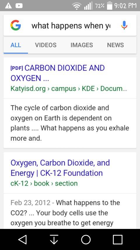 What happens if you put carbon dioxide and oxygen together
