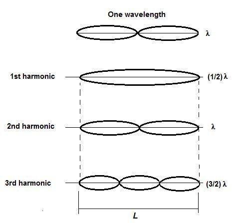 The third harmonic of a guitar string has a frequency of 170 hz. what is the length of the guitar st