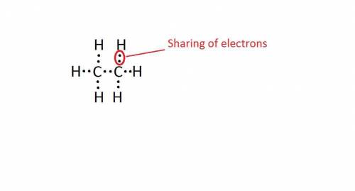 What is the maximum number of hydrogen atoms that can be covalently bonded in a molecule containing
