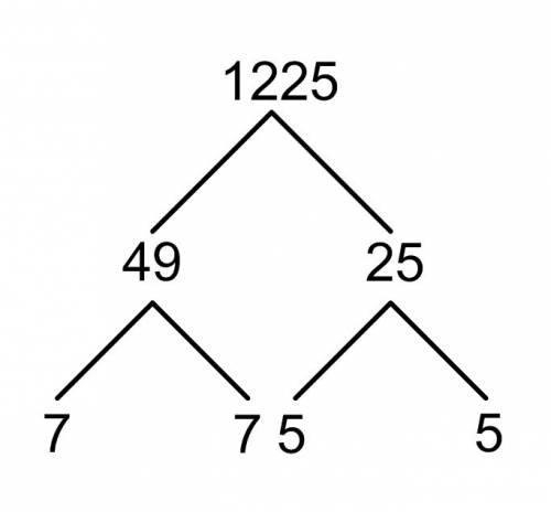 Afactor tree is shown for 1225 what is the simplest form