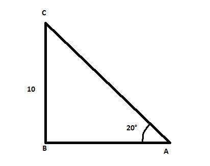 In a right triangle, angle a measures 20°. the side opposite angle a is 10 centimeters long. approxi