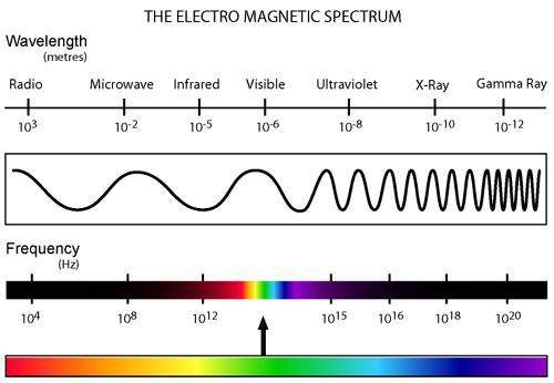 Gamma rays, x-rays, visible light, and radio waves are all types of
