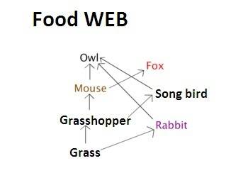Aseries of connections of food chains in an ecosystem is called a  . population food web community