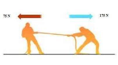 The image below shows two opposite forces acting on a rope, what can we say is true about the affect