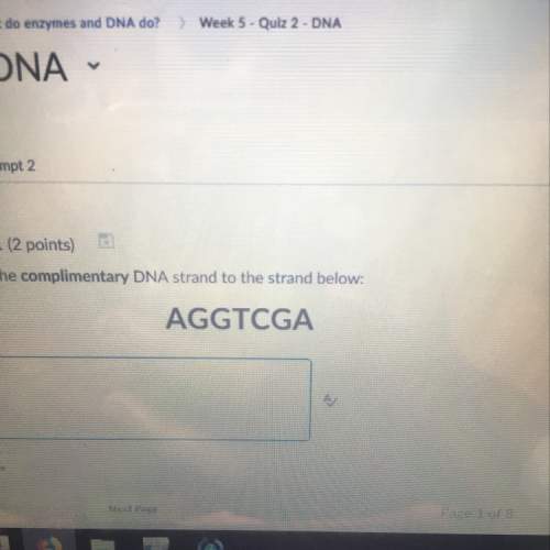 What would be the copied strand of dna for the following base dna strand