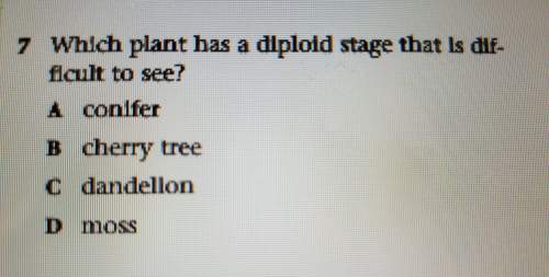 Which plant has a diploid stage that is difficult to see