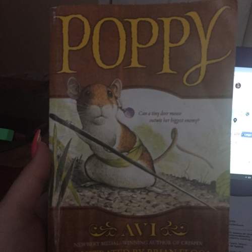 Clearly identify one theme of the book in one complete sentence in poppy book?