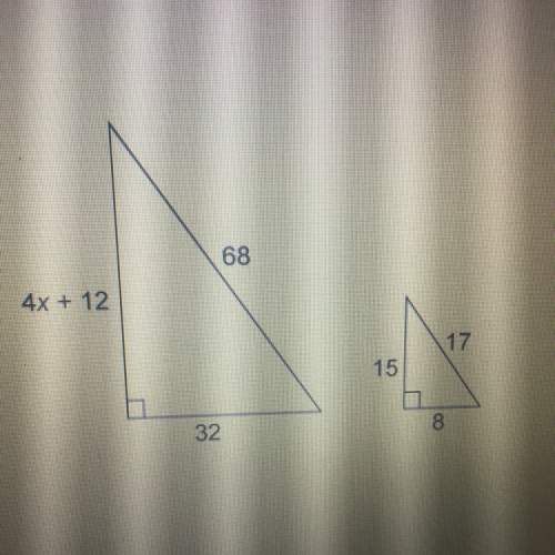 The triangles are similar. what is the value of x ?
