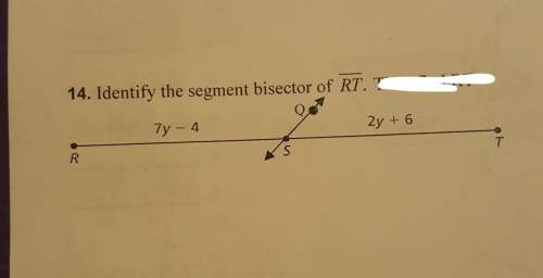How to identify the segment bisector ?