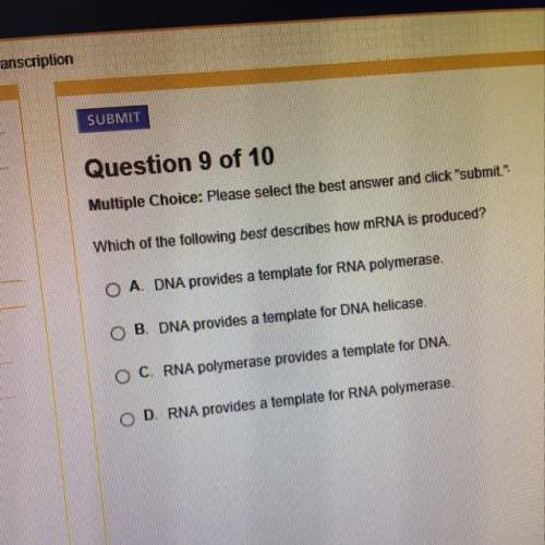 Which of the following best describes our mrna is produced?