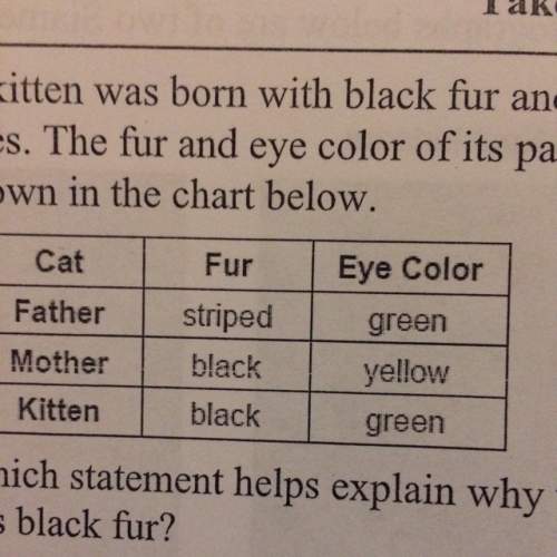 Akitten was born with black fur and green eyes. the fur and eye color are shown in the chart (pictur