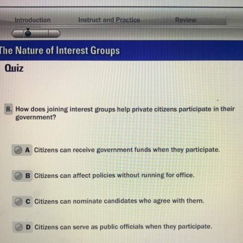 How does joining interest groups private citizens participate in their government?
