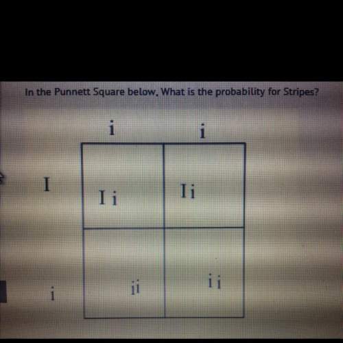 I= stripes i= no stripes stripes is dominant to no stripes. in the punnett square below what is th
