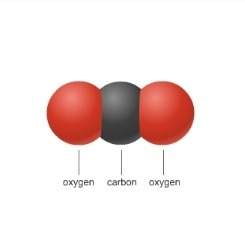 Worth 20 points! which type of bond does this molecule have? a&gt; magnetic bond b&gt; hydrogen
