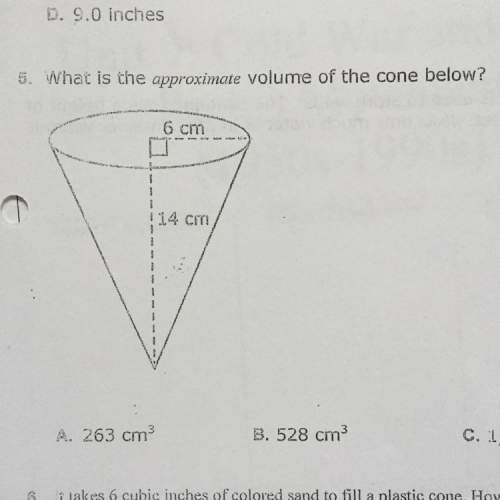 What is the approximate volume of the cone below ?