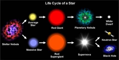 Will give brainliest after the supernova in a star’s life cycle, what else is formed in addition to
