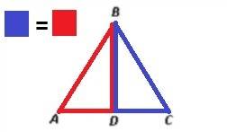 If abd = cbd and the perimeter of triangle abd = 12 feet then the perimeter of triangle cbd is  tria