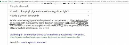 How is the energy in photons used in the photosynthetic process?