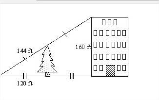 Use the information in the diagram to determine the height of the tree to the nearest foot. a. 80 ft