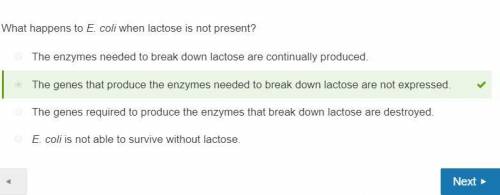 What happens to e. coli when lactose is not present?   a. the enzymes needed to break down lactose a