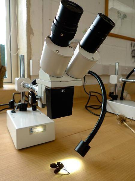 In which case would a scientist choose to use a dissecting microscope rather than a compound microsc