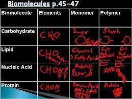 Some similarities among all four types of molecules. list as many as you can.