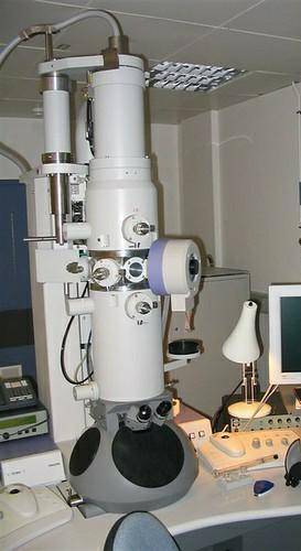 Compare and contrast light microscopes, scanning electron microscopes, and transmission electron mic