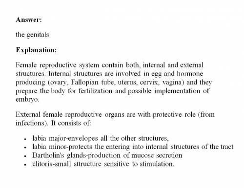 What is the name for the external structures of the female reproductive system?
