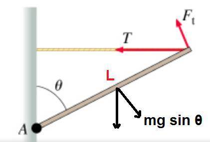 What is ft, the magnitude of the tangential force that acts on the pole due to the tension in the ro
