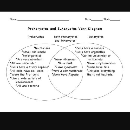 What do prokaryotes and eukaryotes have in common