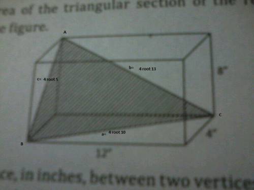 Find the area of the triangular section of the rectangle solid shown in the figure .